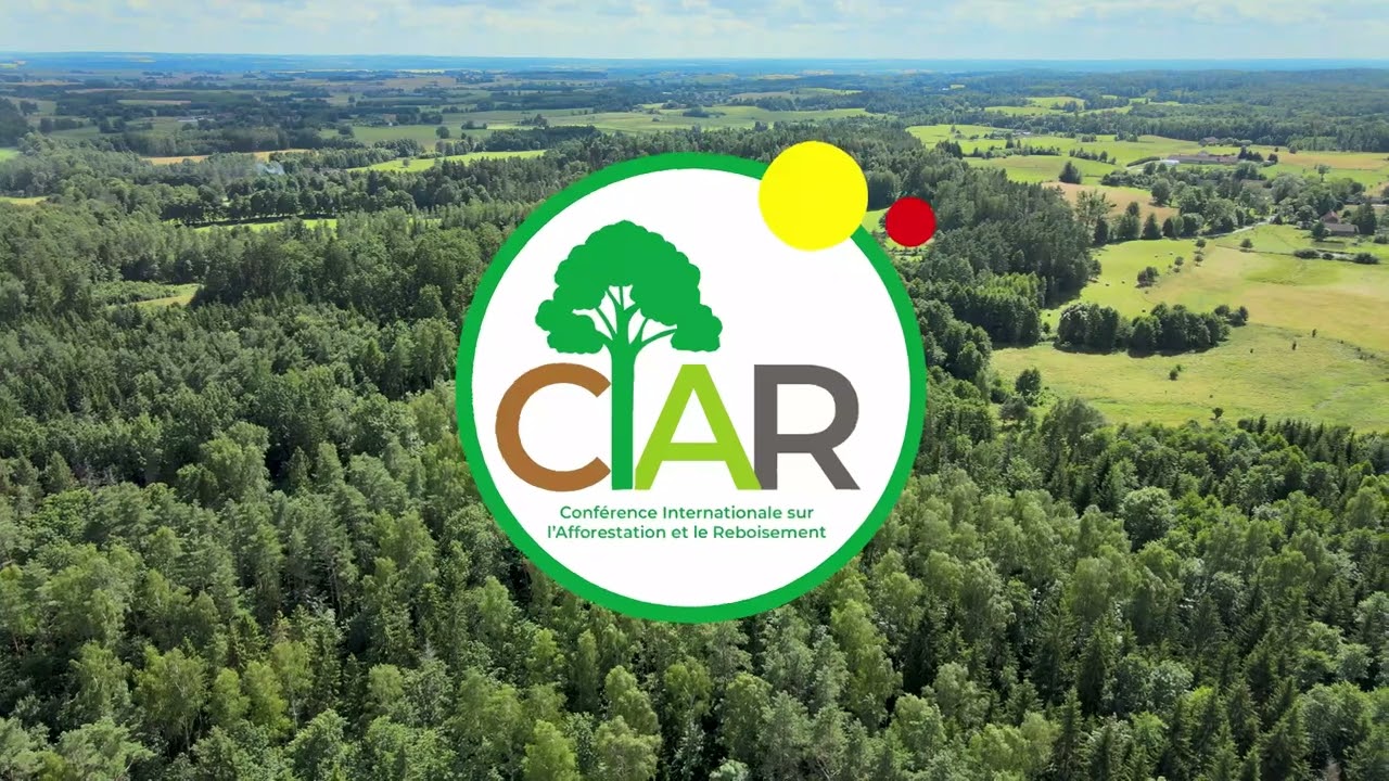 Miniature du spot CIAR — Conférence internationale sur l'afforestation et le reboisement